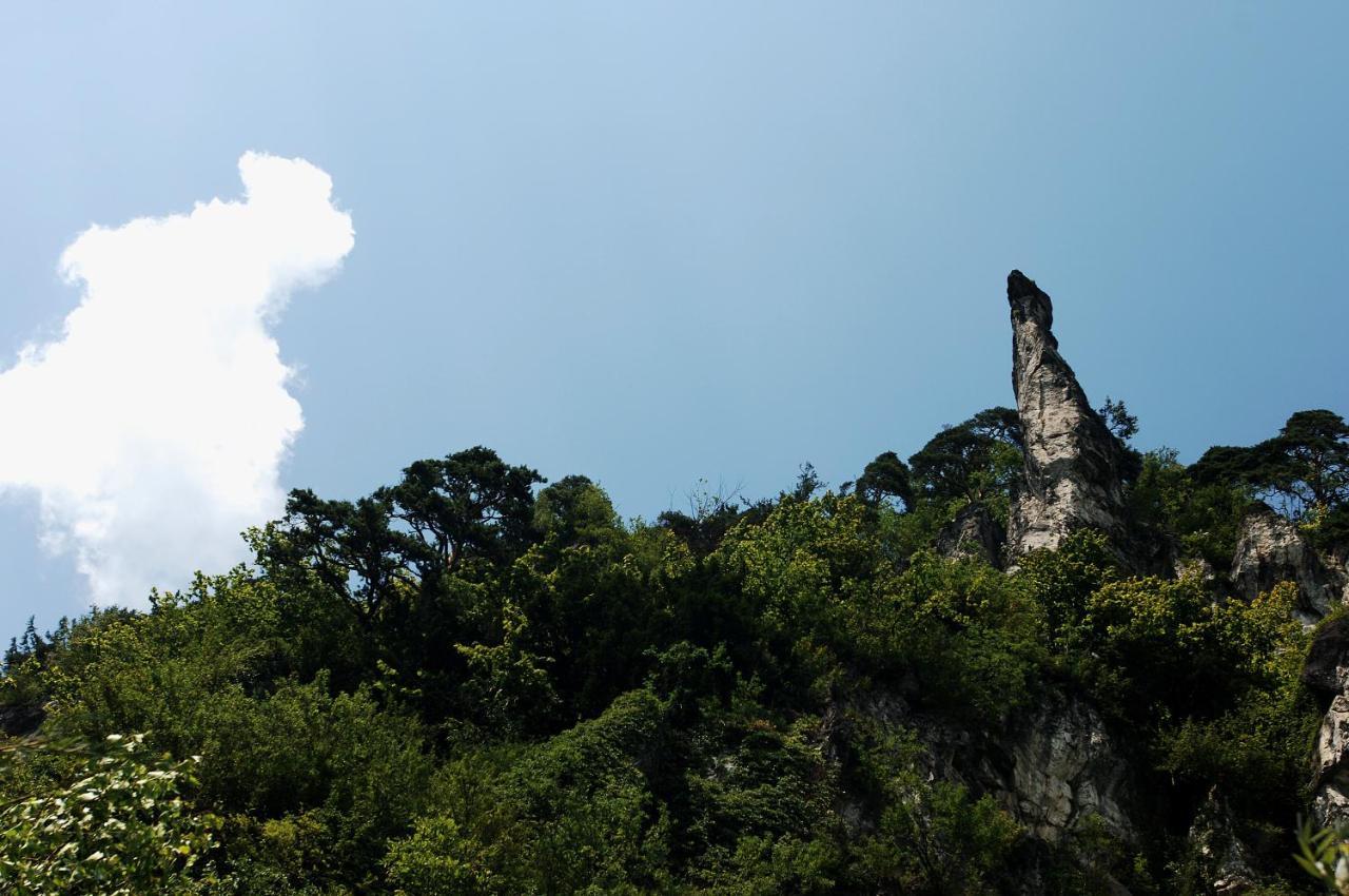 Gasthof Bad Sonnenberg Nueziders Ngoại thất bức ảnh